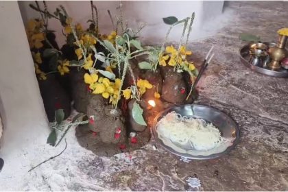 Sagani Pandavaru 1