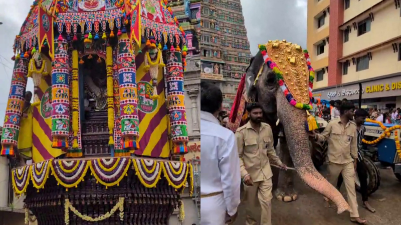 Sri Sharadamba Maha Rathotsava and Adda Pallaki Utsava 1