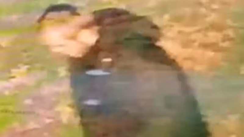 ಬ್ರಿಟನ್ನಲ್ಲಿ ಭಾರತೀಯ ಮೂಲದ 20ರ ಯುವತಿ ಮೇಲೆ ಅತ್ಯಾಚಾರ 2 United Kingdom