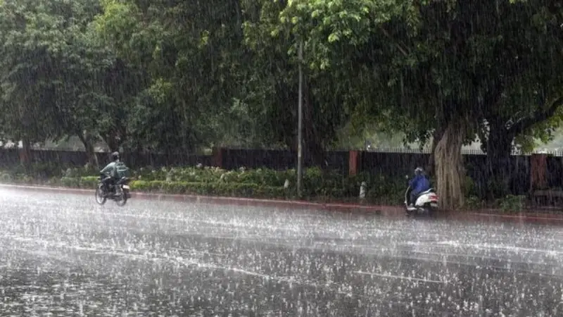 Weather 1