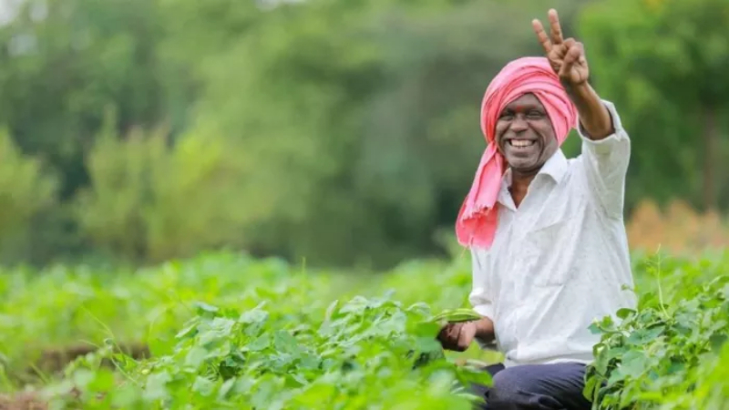 pradhan mantri dhan dhanya krishi yojana