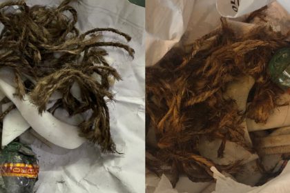 Anekal School fire Cracker