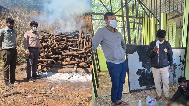 ಬೆಳಗಾವಿ ಮೃಗಾಲಯದಲ್ಲಿ 28 ಕೃಷ್ಣ ಮೃಗಗಳ ಸಾವು; ಮಾರಣಾಂತಿಕ ವೈರಸ್ಗೆ ಬಲಿಯಾಗಿರೋ ಶಂಕೆ! 3 Belagavi 4