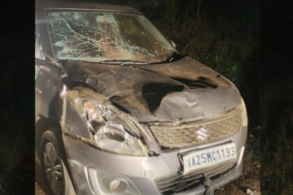 Car hits wild elephant in N.R. Pura front of the car completely damaged