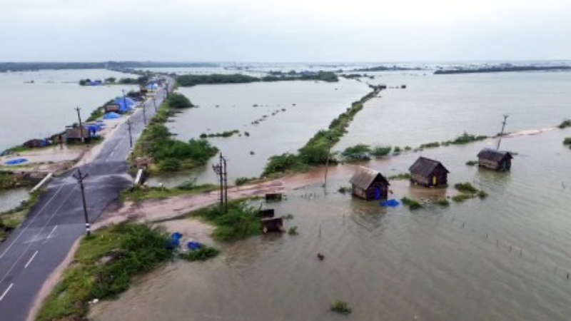 Ditwah Cyclone Tamil Nadu