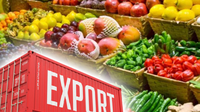 ಟ್ರಂಪ್ ಸುಂಕಾಸ್ತ್ರದ ನಡುವೆಯೂ ಭಾರತದ ಕೃಷಿ ಉತ್ಪನ್ನ ರಫ್ತಲ್ಲಿ ಸಾಧನೆ - ಸಾಧ್ಯವಾಗಿದ್ದು ಹೇಗೆ? 5 Indian Farm Exports 1