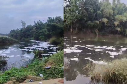 Kodagu Cauvery River