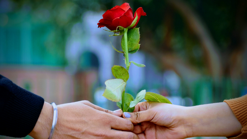 ದೂರಾದ ರಾಧಾಕೃಷ್ಣರನ್ನು ಜಗತ್ತು ಪ್ರೇಮದಿಂದಲೇ ಗುರುತಿಸೋದು! 7 LOVE 1 1