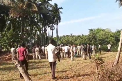 Leopard dies after being shot in self defense by forest guards while being captured in Tarikere