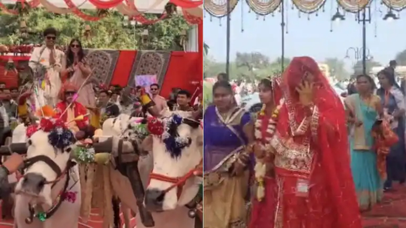 Madhya Pradesh CM Son Marriage