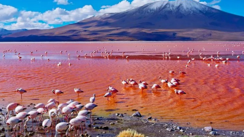 Natron Lake 2