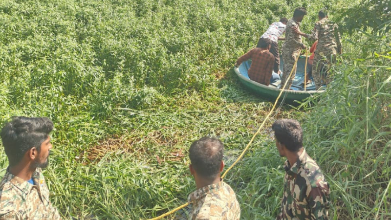 Ramanagara | ಅರ್ಕಾವತಿ ನದಿ ಹಿನ್ನೀರಿನಲ್ಲಿ ಮುಳುಗಿ 2 ಕಾಡಾನೆ ಸಾವು 1 Ramanagara Wild Elephant Death