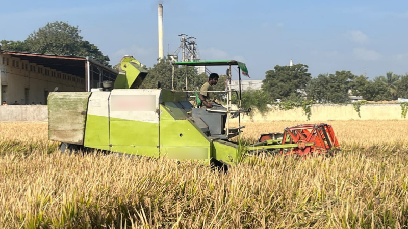 Rice harvester machine