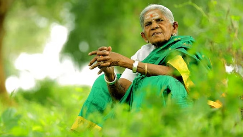 Saalumarada Thimmakka