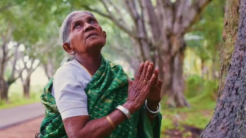 Salumarada Timmakka 1