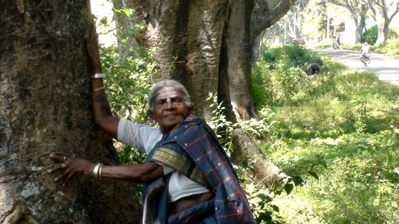 Salumarada Timmakka 3