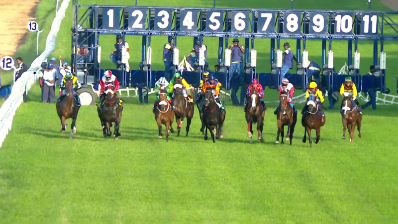 Steward attacks jockey who finished 7th in horse race bengaluru 1