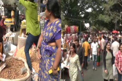 kadalekai parishe basavanagudi