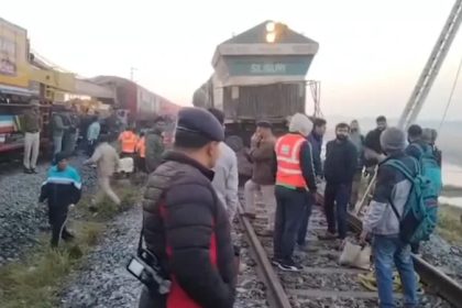 Assam Elephants Killed