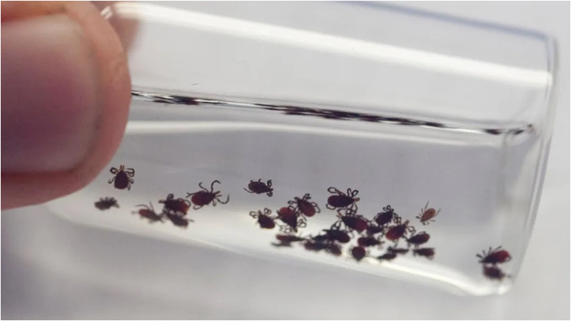 ನಾನಾ ಯುದ್ಧ ಕಂಡ ವಿಶ್ವದ ಮುಂದೀಗ ಜೈವಿಕ ಶಸ್ತ್ರಾಸ್ತ್ರದ ಭಯ! 7 BIO Wepon 2