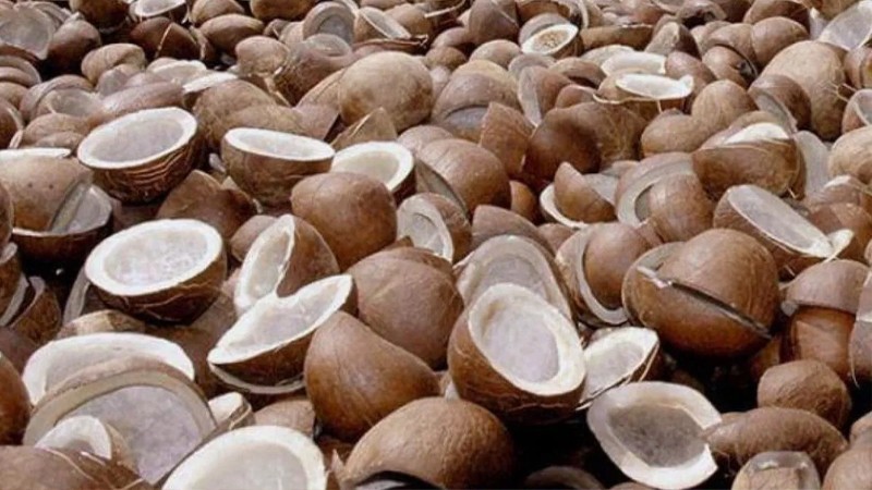 Dry Coconut