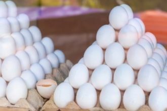 Egg 5