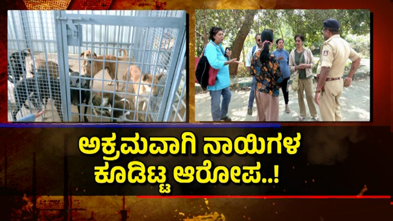 ಬೀದಿ ನಾಯಿಗಳ ಹೆಸ್ರಲ್ಲಿ ಲೂಟಿ ಮಾಡ್ತಿದ್ಯಾ ಜಿಬಿಎ? - ಶೆಡ್ ನಿರ್ಮಾಣಕ್ಕೆ 50 ಲಕ್ಷದ ಟೆಂಡರ್ 4 GBA Dog 3