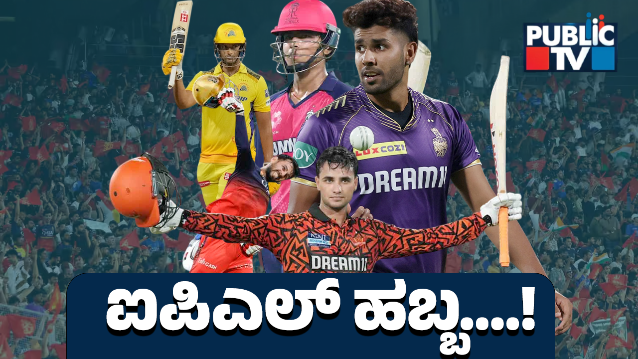 IPl Festival 2