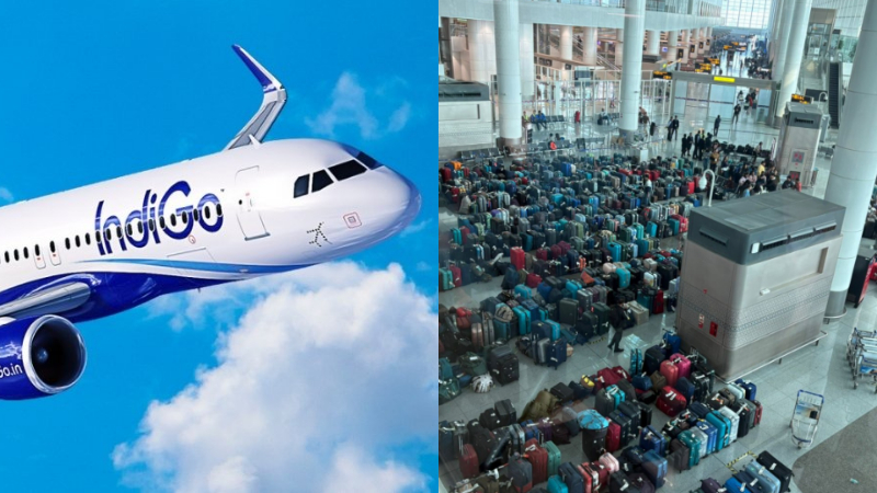 Indigo 1 1 3