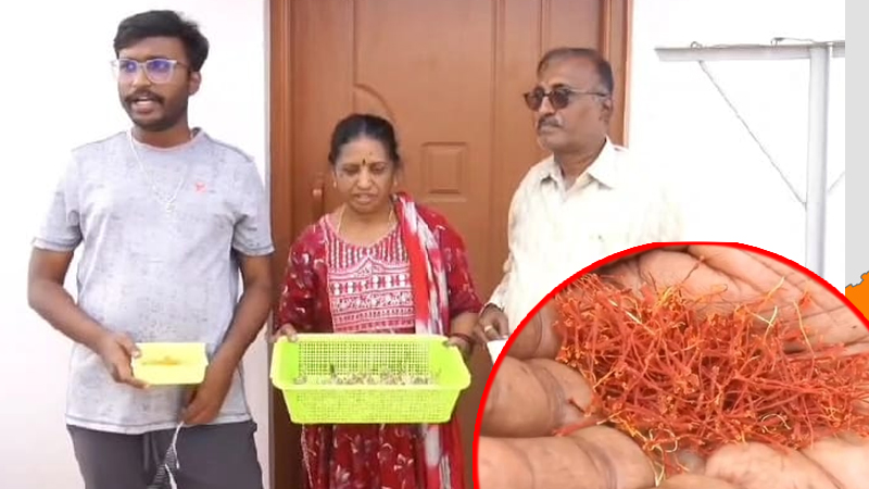 Kashmir Kesar Doddaballapura