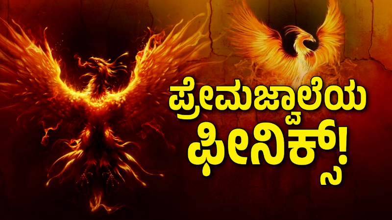 Love Phoenix 3