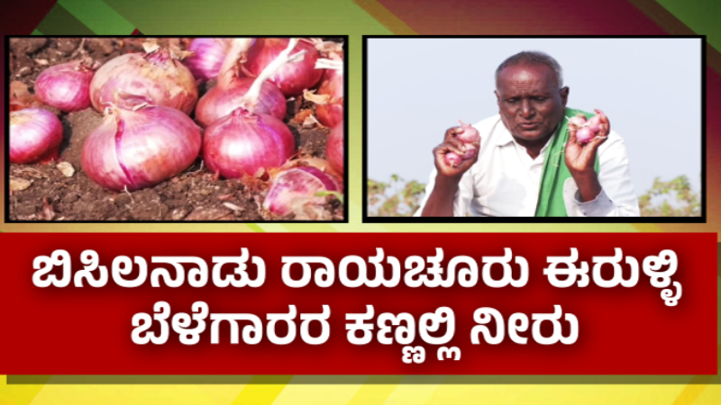 ಶತಕದ ಗಡಿಗೆ ಟೊಮ್ಯಾಟೋ ಬೆಲೆ - ಇತ್ತ ಕಣ್ಣೀರಿಡುವಂತೆ ಮಾಡ್ತಿದೆ ಈರುಳ್ಳಿ ದರ, ಕ್ವಿಂಟಾಲ್ಗೆ 500 ರೂ.ಗೆ ಕುಸಿತ 5 Onion Rate 1