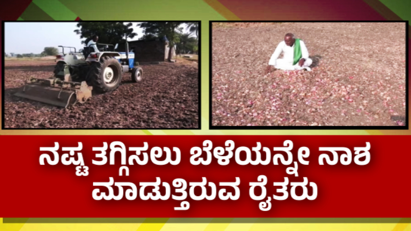 ಶತಕದ ಗಡಿಗೆ ಟೊಮ್ಯಾಟೋ ಬೆಲೆ - ಇತ್ತ ಕಣ್ಣೀರಿಡುವಂತೆ ಮಾಡ್ತಿದೆ ಈರುಳ್ಳಿ ದರ, ಕ್ವಿಂಟಾಲ್ಗೆ 500 ರೂ.ಗೆ ಕುಸಿತ 4 Onion Rate 2