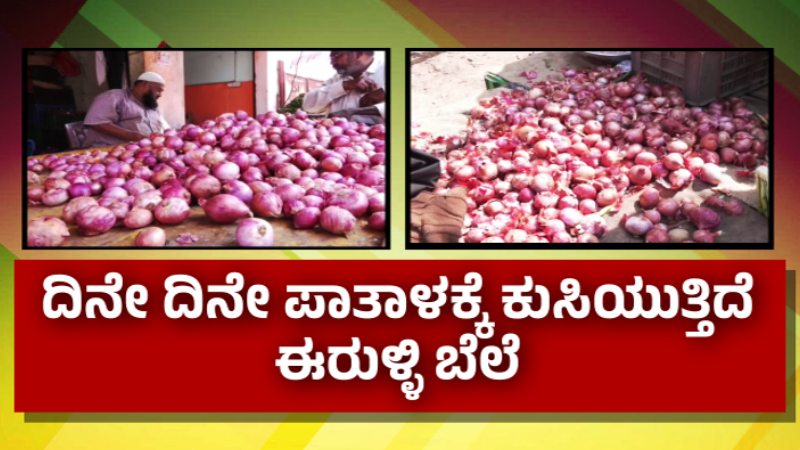 ಶತಕದ ಗಡಿಗೆ ಟೊಮ್ಯಾಟೋ ಬೆಲೆ - ಇತ್ತ ಕಣ್ಣೀರಿಡುವಂತೆ ಮಾಡ್ತಿದೆ ಈರುಳ್ಳಿ ದರ, ಕ್ವಿಂಟಾಲ್ಗೆ 500 ರೂ.ಗೆ ಕುಸಿತ 3 Onion Rate