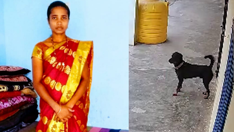 Rottweiler Attack Death 1