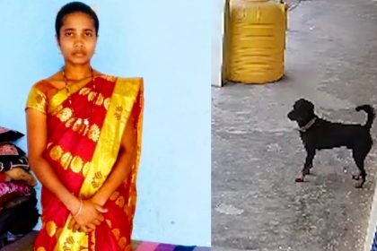 Rottweiler Attack Death