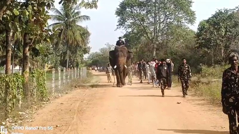 ಚಾಮರಾಜನಗರಲ್ಲಿ 5 ಹುಲಿಗಳು ಪ್ರತ್ಯಕ್ಷ ಪ್ರಕರಣ - ನಿಷೇಧಾಜ್ಞೆ ಜಾರಿ, ಜನರಲ್ಲಿ ಭೀತಿ 5 Tiger 3