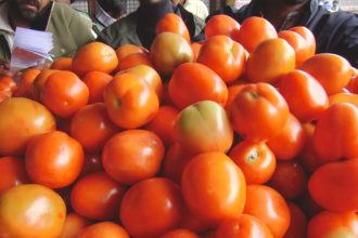 Tomatoo