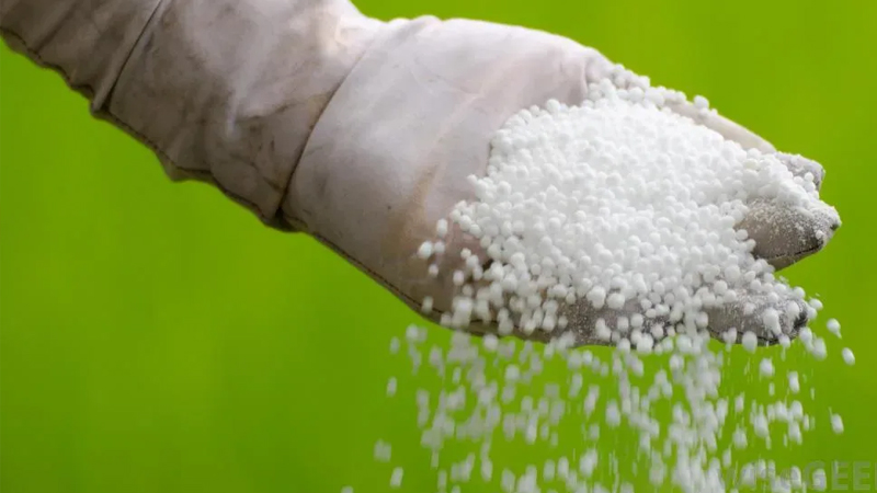 Urea 1