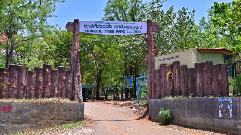 Anagodu Zoo Davanagere
