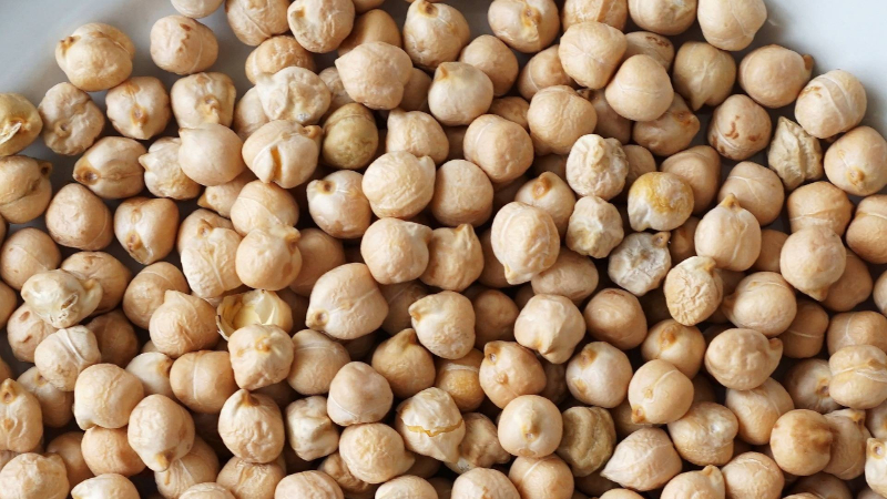 Chickpea 1 1