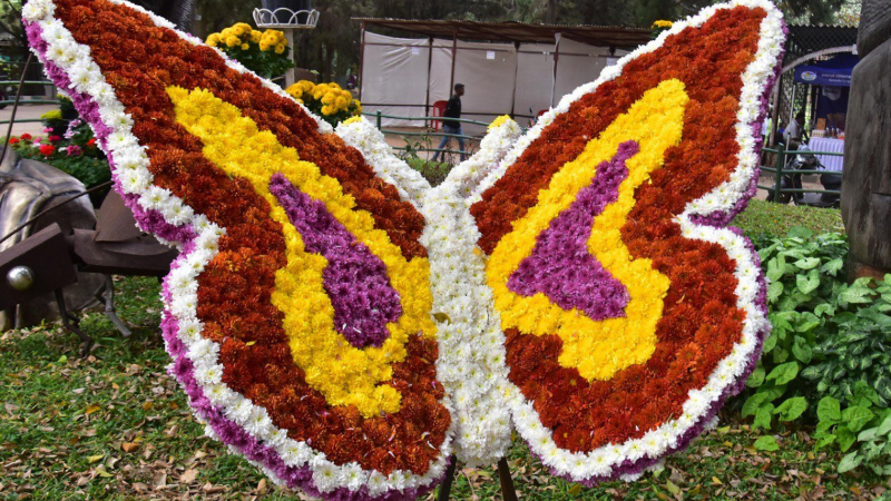 ಲಾಲ್ಬಾಗ್ ಪ್ಲವರ್ ಶೋಗೆ ಭರ್ಜರಿ ರೆಸ್ಪಾನ್ಸ್ - ಎರಡೇ ದಿನದಲ್ಲಿ 28.3 ಲಕ್ಷ ರೂ. ಆದಾಯ 5 Flower Show 1 1