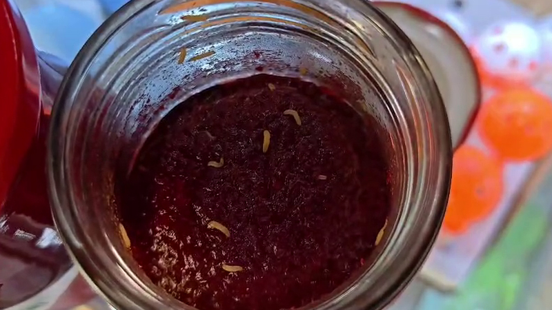 Fruit Jam 2 1