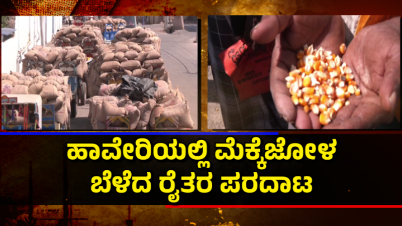 ಖರೀದಿಯಾಗದ ಮೆಕ್ಕೆಜೋಳ - ಹಾವೇರಿಯಲ್ಲಿ ರೈತರ ಪರದಾಟ 1 Haveri Maize