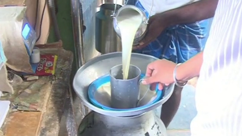 Haveri Milk 2
