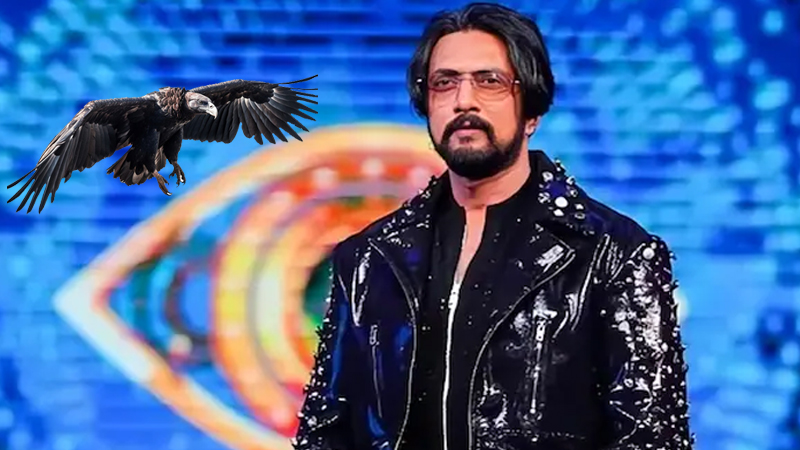 Kichcha Sudeep 1