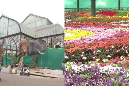 Lalbagh Flower Show
