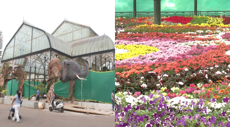 Lalbagh Flower Show