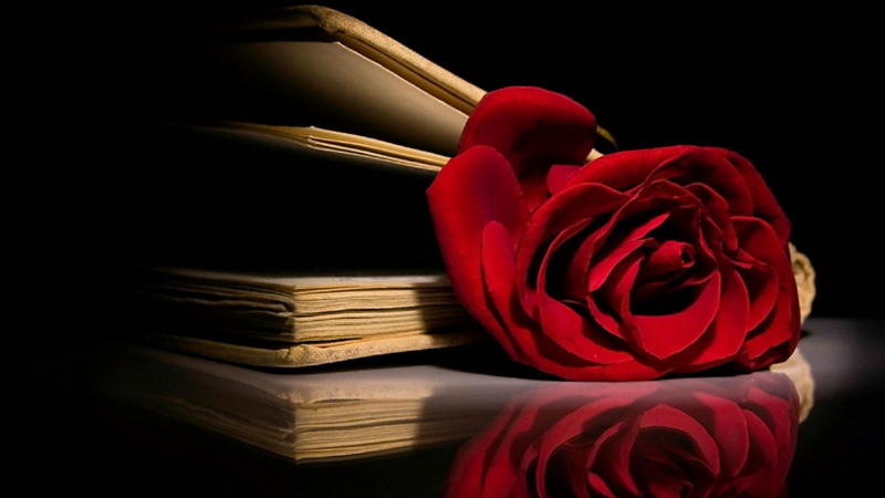 ನಿನ್ನ ಜಡೆಯಿಂದ ಜಾರಿದ ಪ್ರೇಮ ಪುಷ್ಪದ ಕಂಪು..! 4 Love Rose