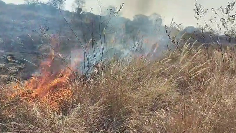 ಸಿಎಂ ಸ್ವಕ್ಷೇತ್ರದಲ್ಲಿ ಮಹಿಳಾ ಅಧಿಕಾರಿಗೆ ಧಮ್ಕಿ ಪ್ರಕರಣ - 20 ಎಕ್ರೆ ಒತ್ತುವರಿ ಜಾಗ ಸರ್ಕಾರದ ವಶಕ್ಕೆ 5 Mysuru 2 1